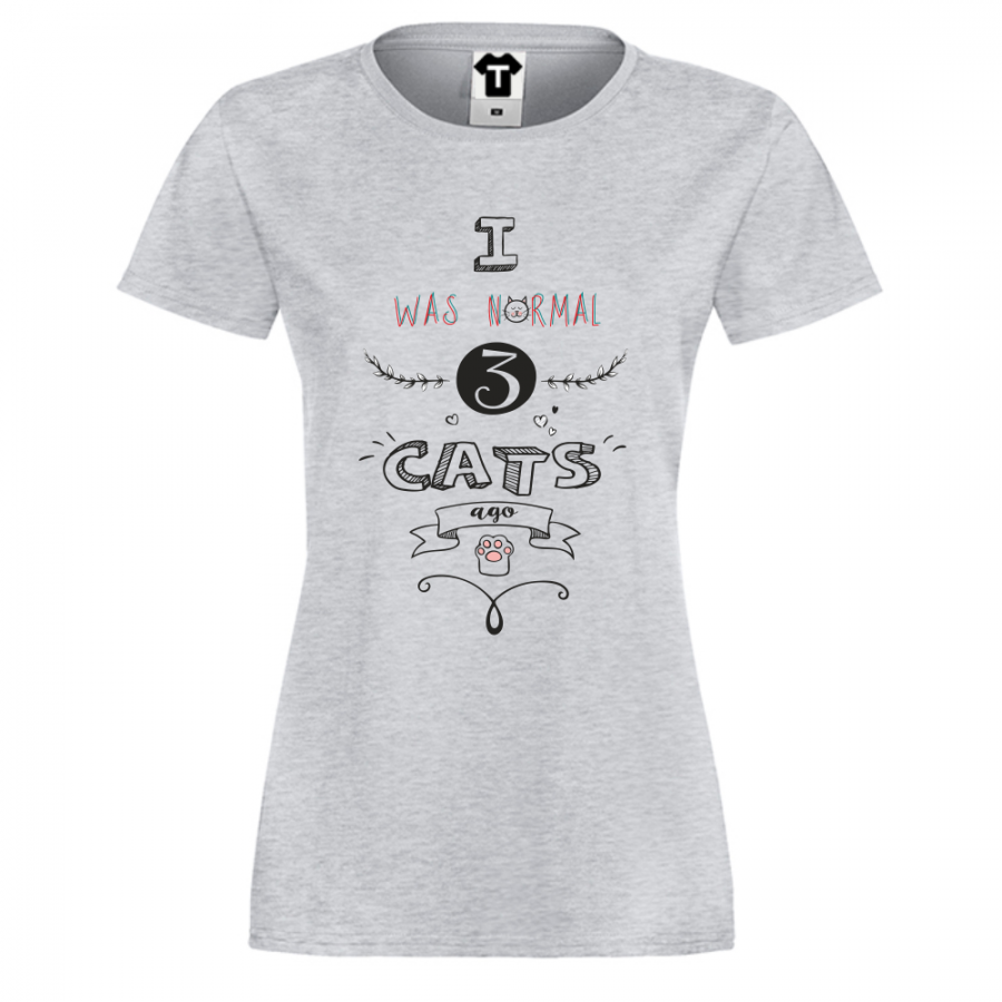 Γυναικεία γκρι μπλούζα I was normal 3 cats Ago